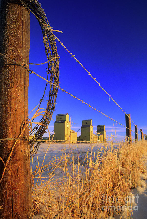 Winter Photograph - Prairie Grain Elevators by Bob Christopher
