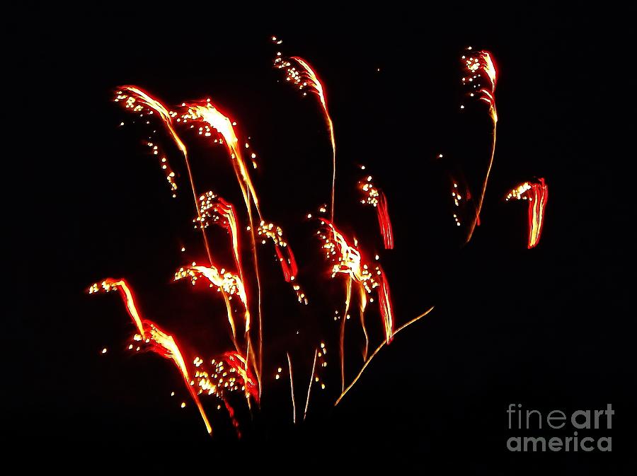 Prairie Grass Fireworks Photograph by Brigitte Emme