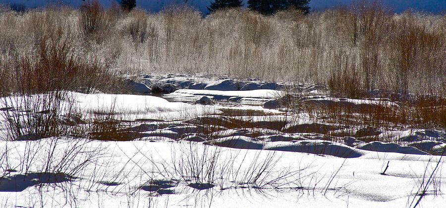 Prairie In Winter Photograph by John Babis