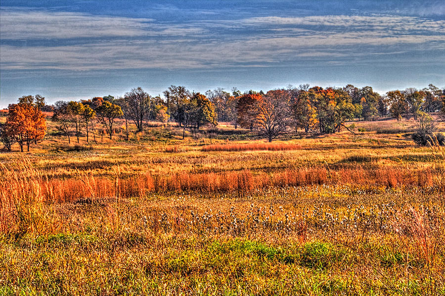 Prairie Late Fall I Photograph by Roger Passman