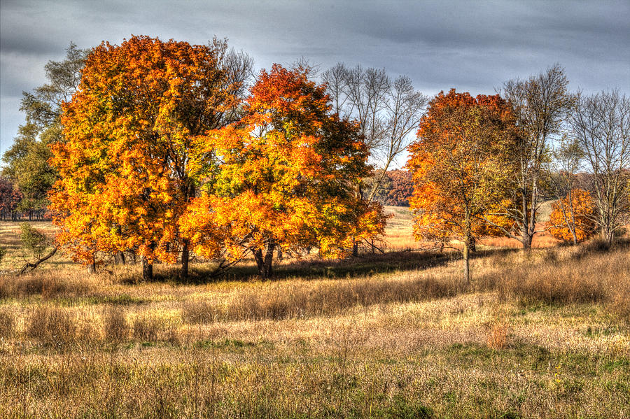 Prairie Late Fall II Photograph by Roger Passman