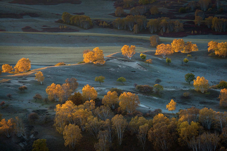 Fall Photograph - Prairie Light by C. Mei