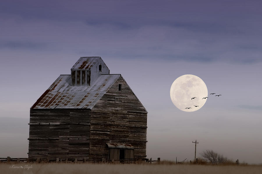 Prairie Lullaby Photograph by Karen Slagle