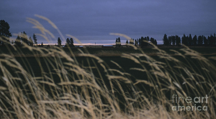 Prairie Morning Photograph by Sharon Elliott