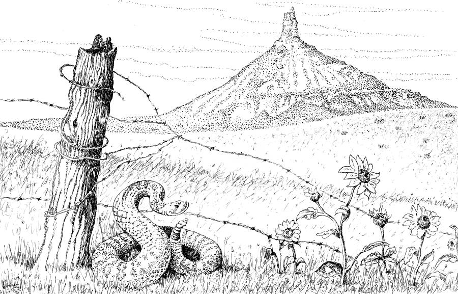 Prairie Rattler Drawing by Bern Miller