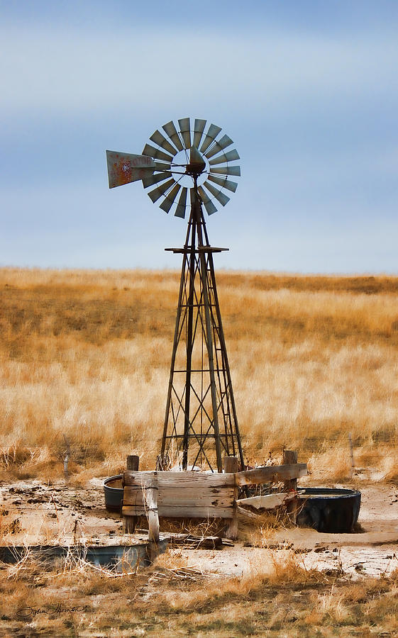 Prairie Sentinel Photograph by Sylvia Thornton
