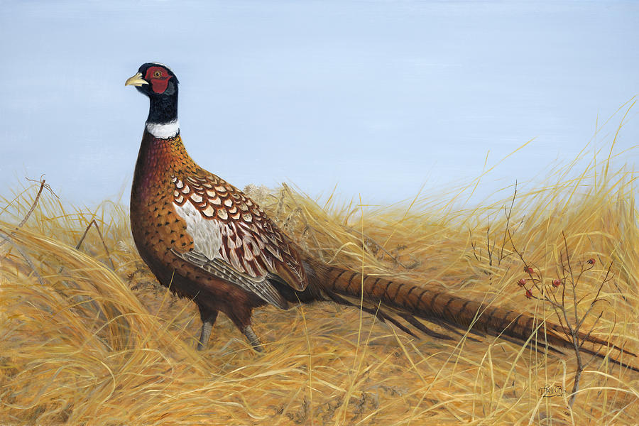 Prairie Splendor Painting by Tammy Taylor