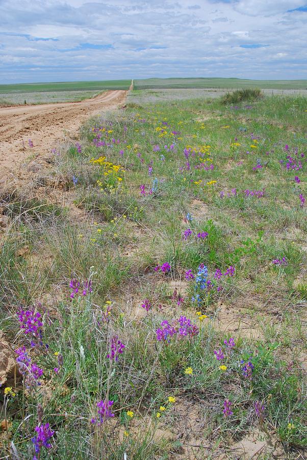 Prairie Spring Landscape Photograph by Cascade Colors