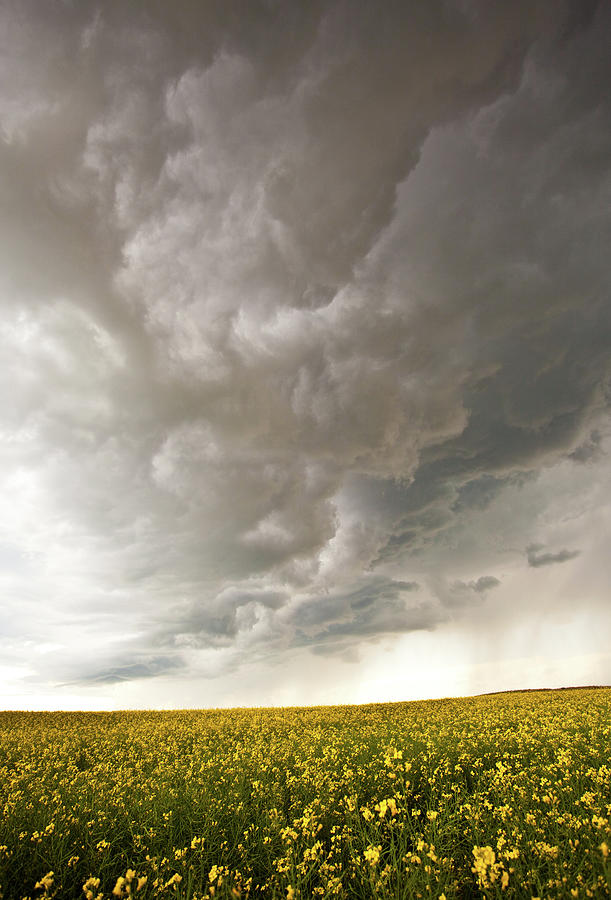 Prairie Storm Photograph by Imaginegolf