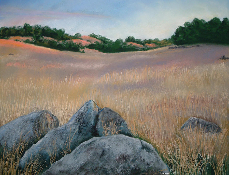 Prairie Sunset Pastel by Brenda Salamone