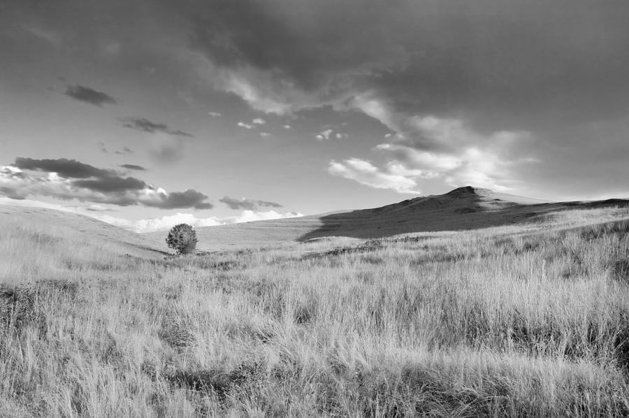 Prairie Tales On the Road to Glacier NP BW Photograph by Rich Franco