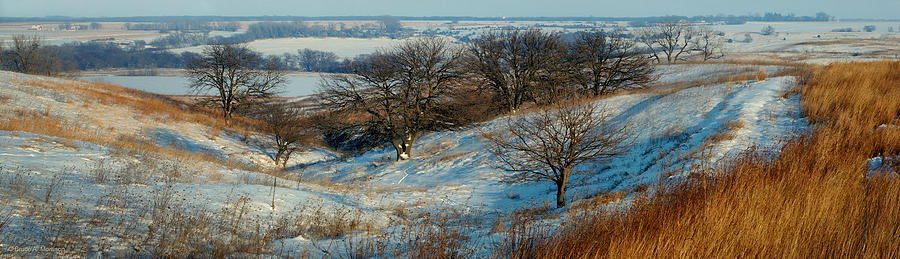 Prairie Winter Photograph by Bruce Morrison