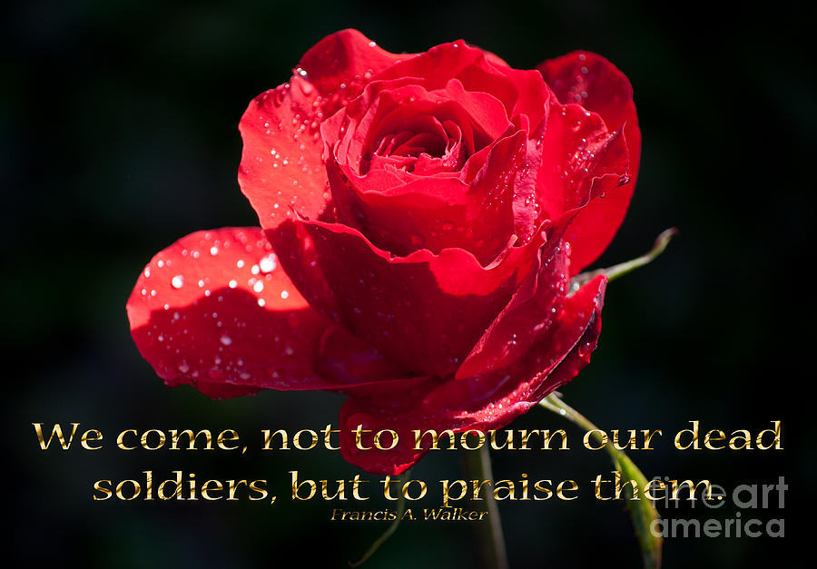 Rose Photograph - Praise Them by Gwyn Newcombe