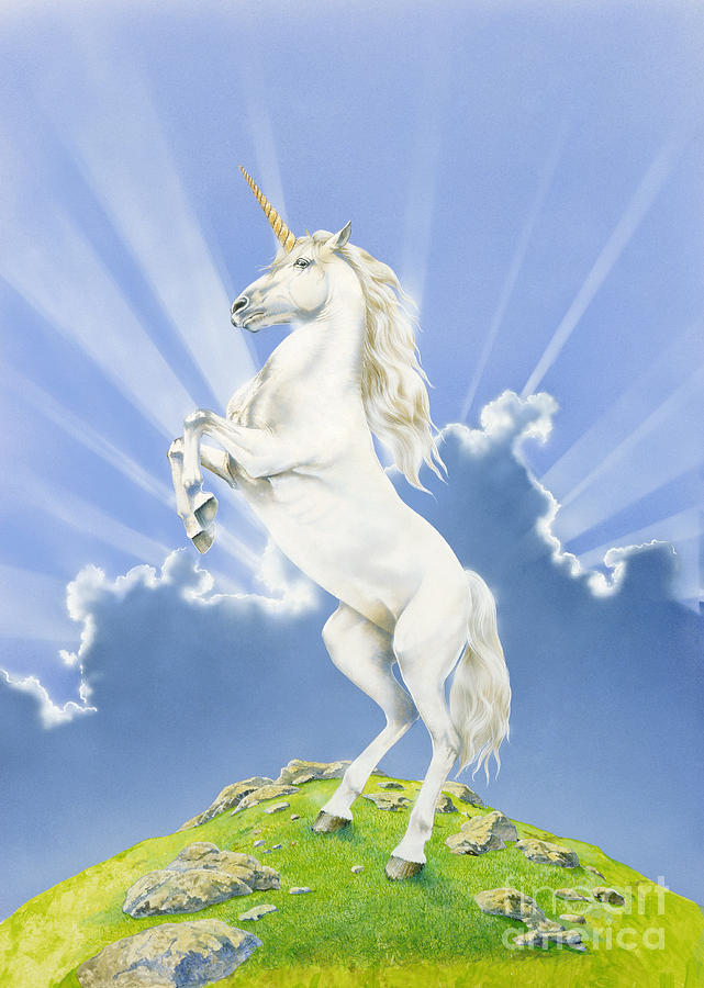 Unicorn Digital Art - Prancing Unicorn by MGL Meiklejohn Graphics Licensing