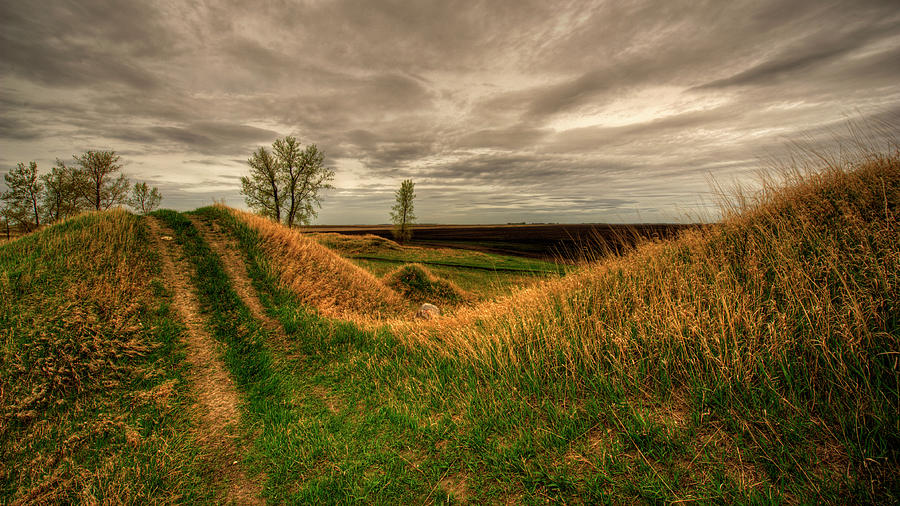 Prarie Grassland Photograph by Northern Pike