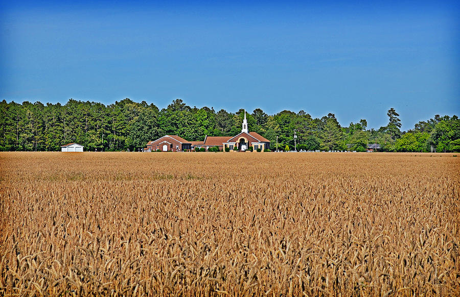 Pray for the Harvest Photograph by Linda Brown