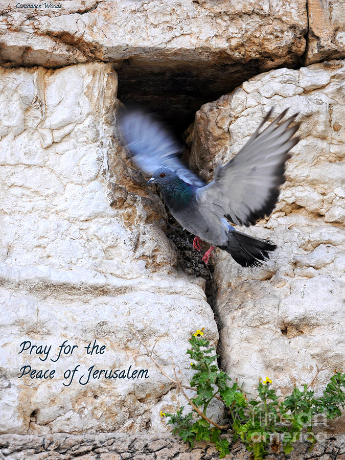 Pray For The Peace Of Jerusalem Painting by Constance Woods