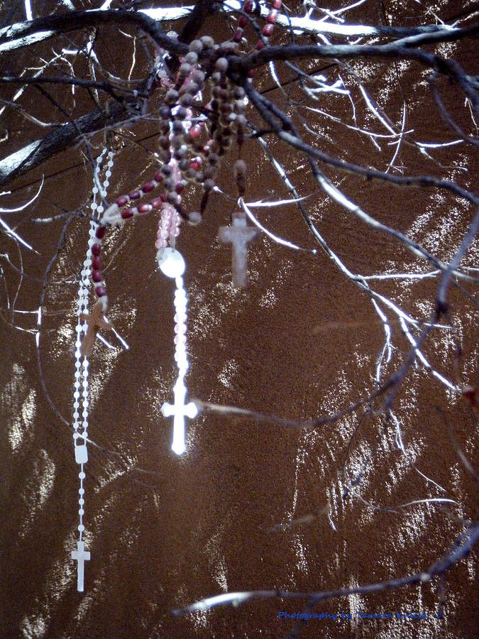 Prayer Crucifixes Hanging From Tree 7 Photograph by Tamara Kulish