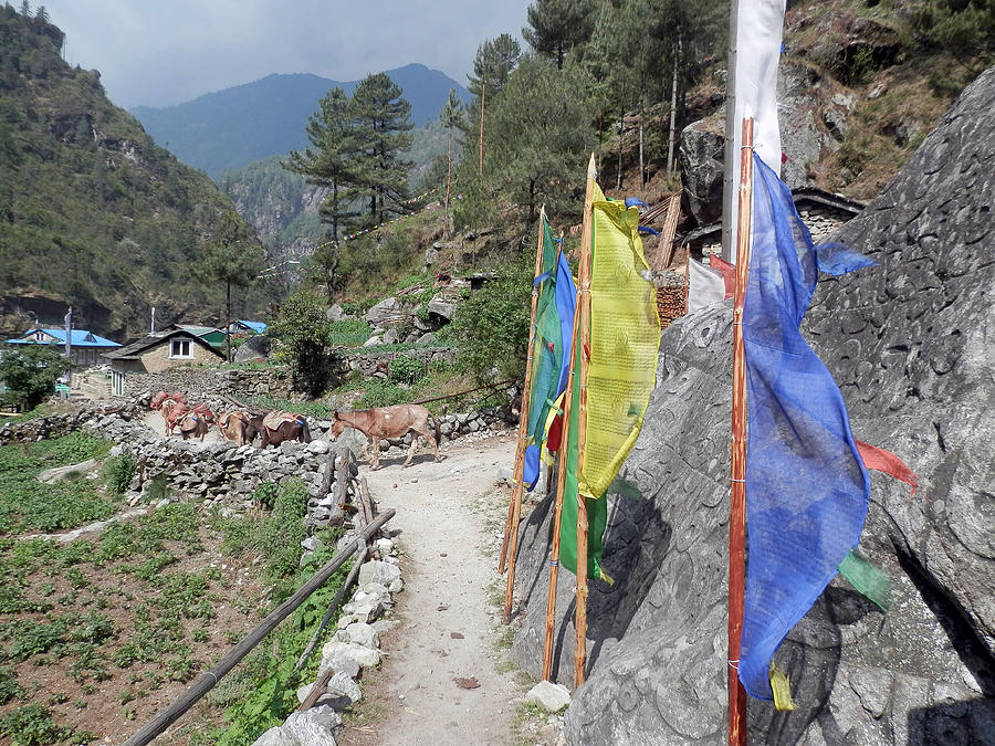 Prayer Flags and Mule Train Photograph by Pema Hou