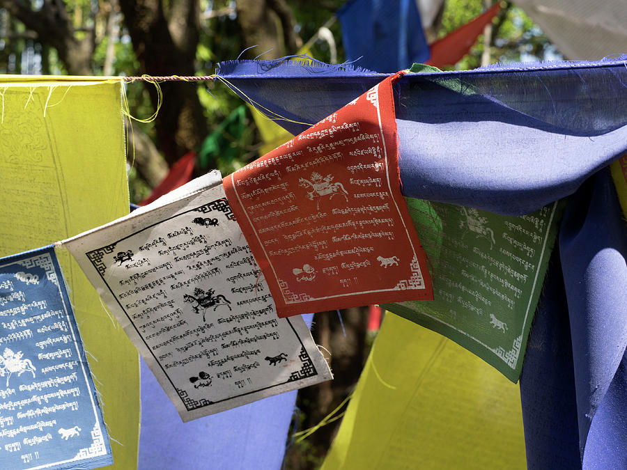 Color Image Photograph - Prayer Flags At Norbulingka Institute by Panoramic Images