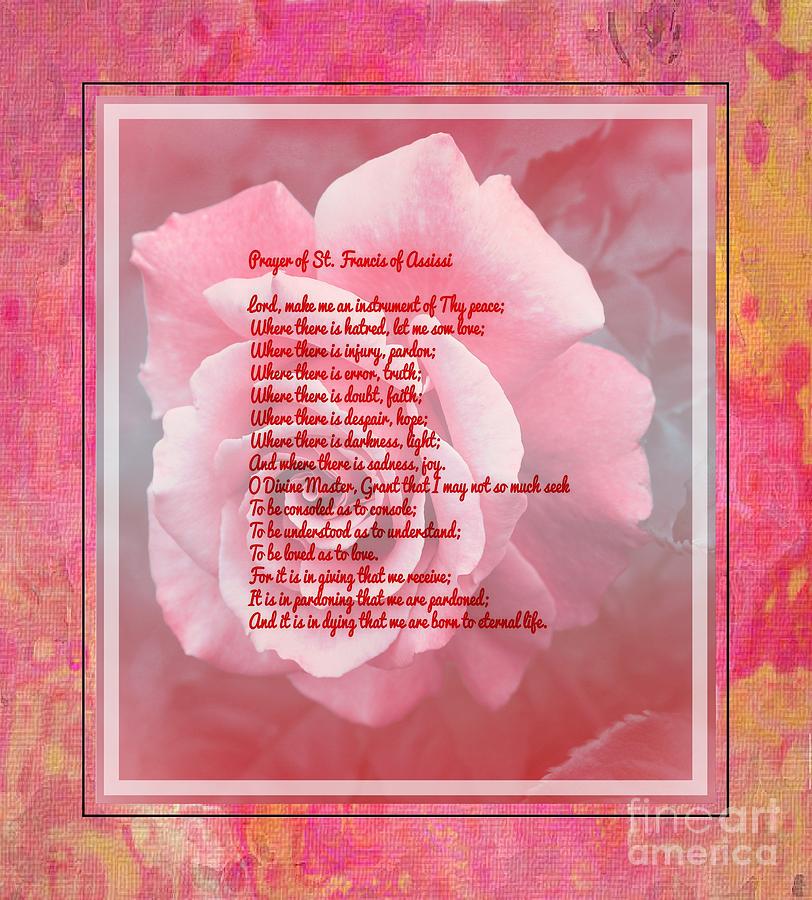 Prayer Of St. Francis Photograph - Prayer of St. Francis and Pink Rose by Barbara A Griffin