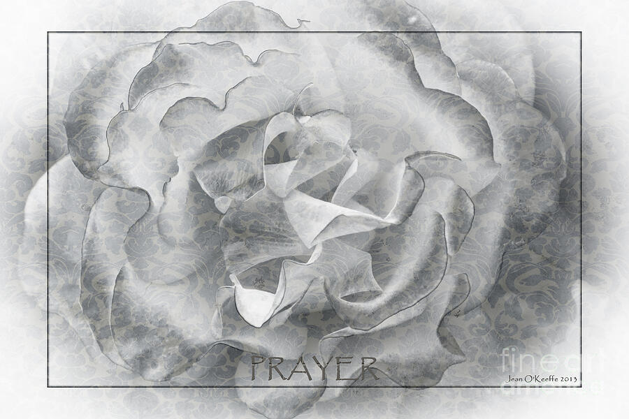 Prayer Petals Digital Art by Jean OKeeffe Macro Abundance Art