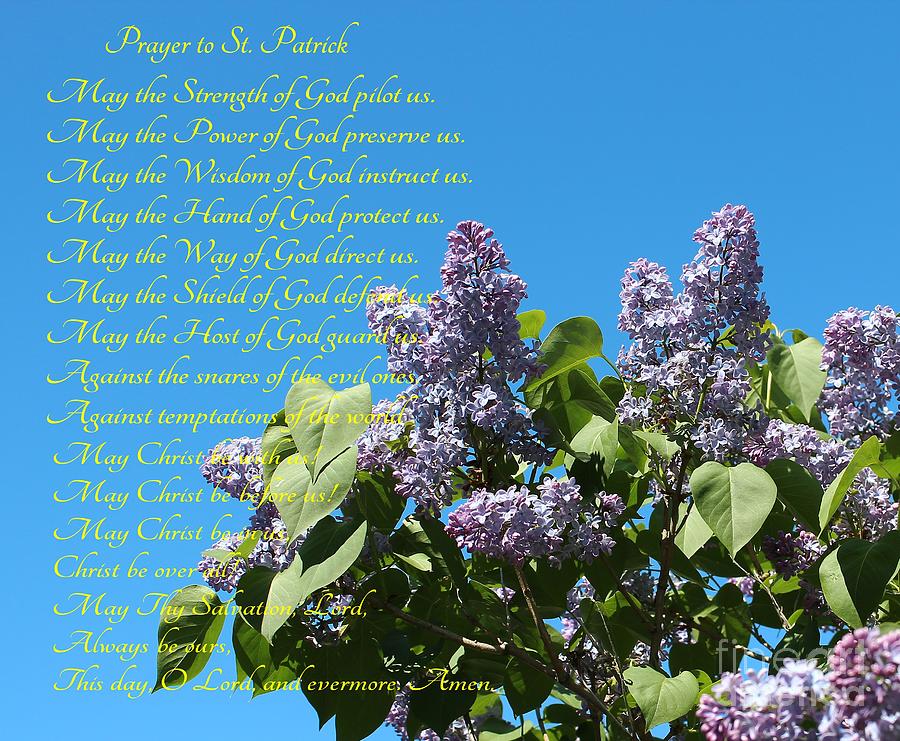 Prayer to St. Patrick Blue Sky and Lilacs Photograph by Barbara A Griffin