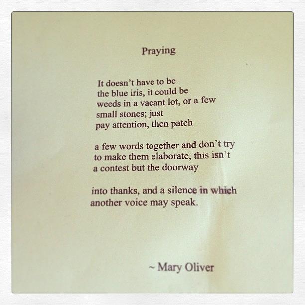 Gratitude Photograph - #praying #poem #maryoliver #poet by Emily Sheridan