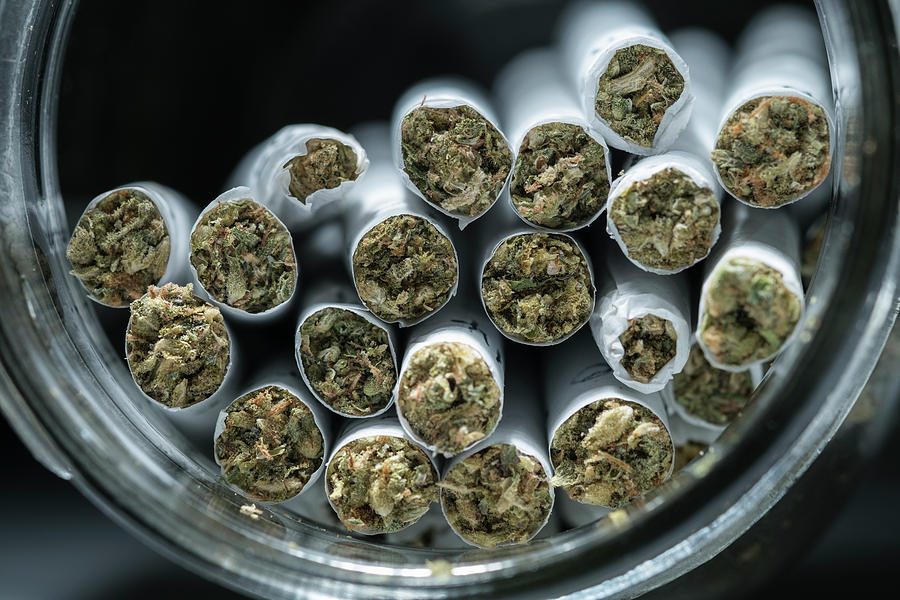 Bloom Photograph - Pre-rolled Medical Cannabis Joints by Stock Pot Images Bloom Photograph - Pre-rolled Medical Cannabis Joints by Stock Pot Images