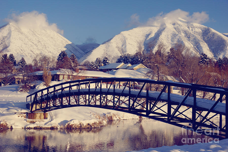 Winter Photograph - Precious Bridge by Gloria Pasko