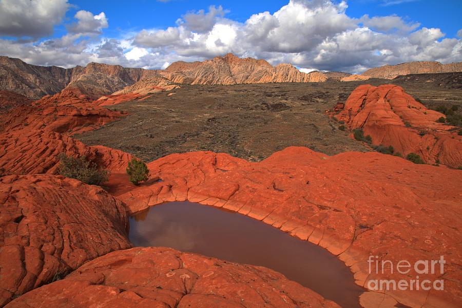 Precious Desert Water Photograph by Adam Jewell