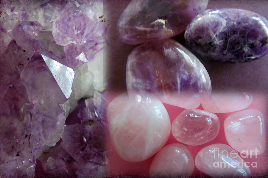 Precious Purple Stones Photograph by Tina M Wenger - Fine Art America