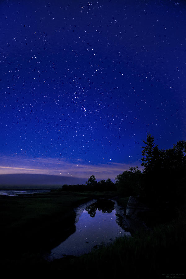 Landscape Photograph - Wetland Starscape by Marty Saccone