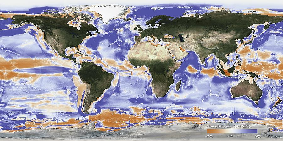 Predicted Fishery Catch Changes By 2050 Photograph by Science Photo Library Predicted Fishery Catch Changes By 2050 Photograph by Science Photo Library