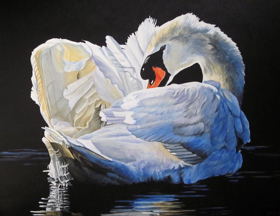 Wildlife Painting - Preening Swan by Lillian  Bell