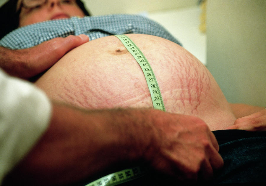 Pregnancy Check-up Photograph by Antonia Reeve/science Photo Library