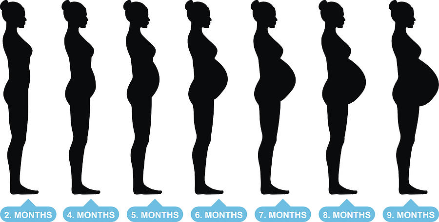 Pregnant female silhouettes Drawing by Zak00