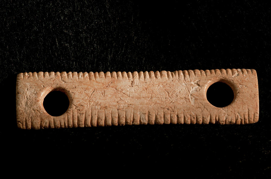 Prehistoric Bone Ruler Photograph by Marco Ansaloni / Science Photo Library