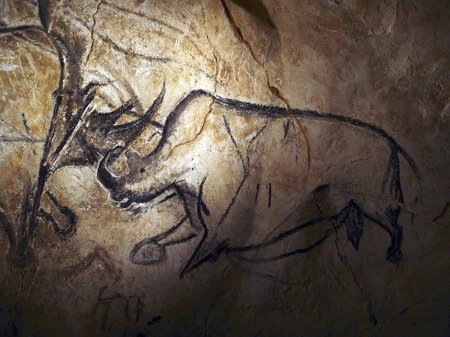 Paleolithic Photograph - Prehistoric cave paintings, Chauvet by Science Photo Library