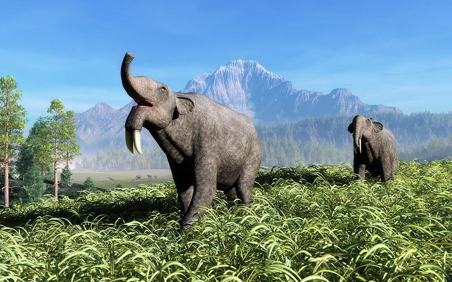 Prehistoric Elephants