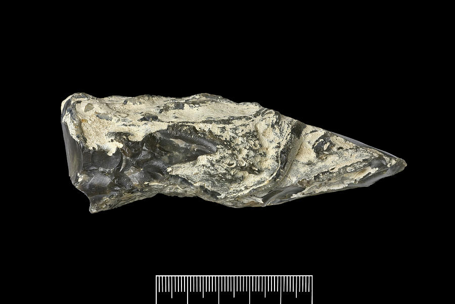 Prehistoric Flint Hand-axe Photograph by Natural History Museum, London/science Photo Library