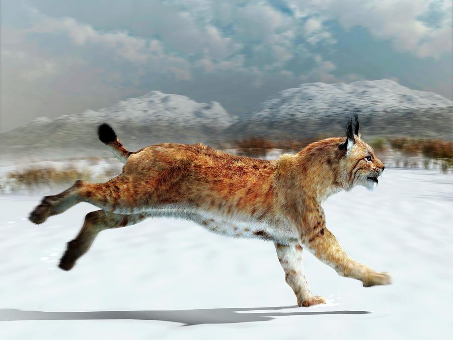 Prehistoric Photograph - Prehistoric Iberian Lynx by Jose Antonio Peas