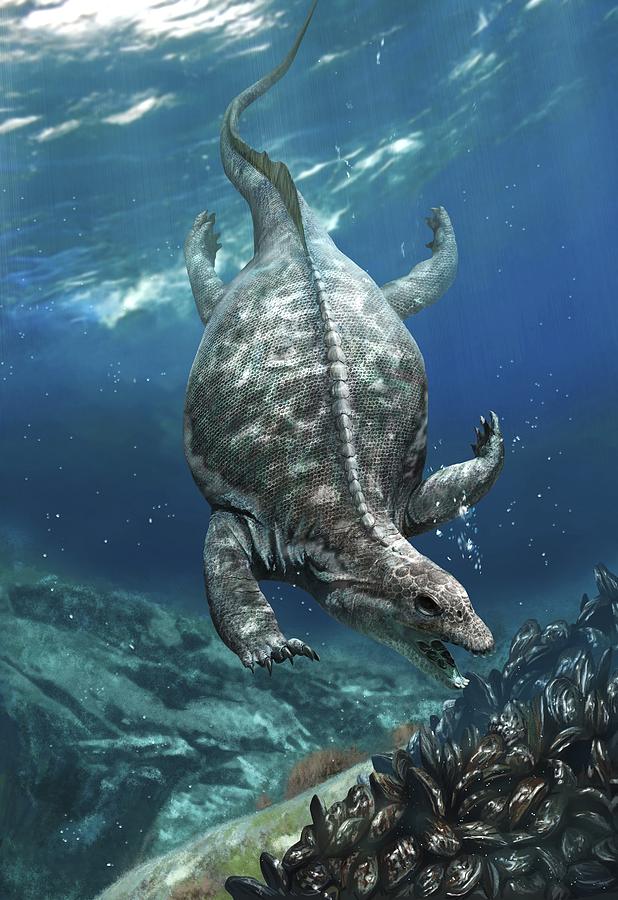 prehistoric sea animals