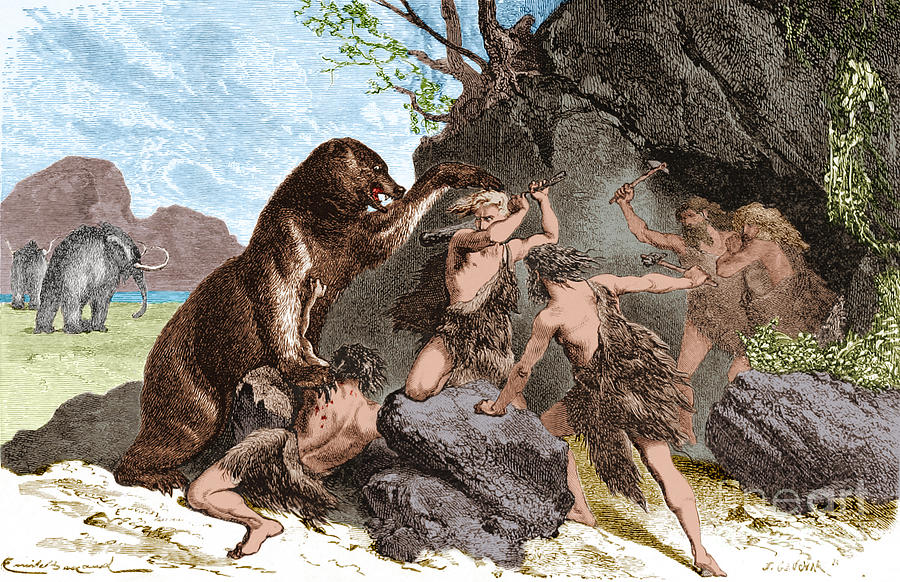 Prehistoric Men Battle Cave Bear Photograph by Science Source