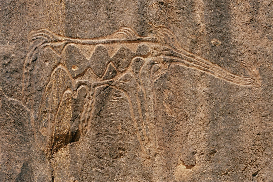 Prehistoric Petroglyph Photograph by Sinclair Stammers/science Photo Library