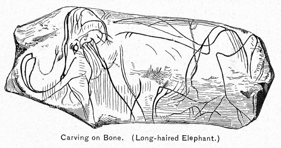 Prehistory Mammoth Drawing by Granger