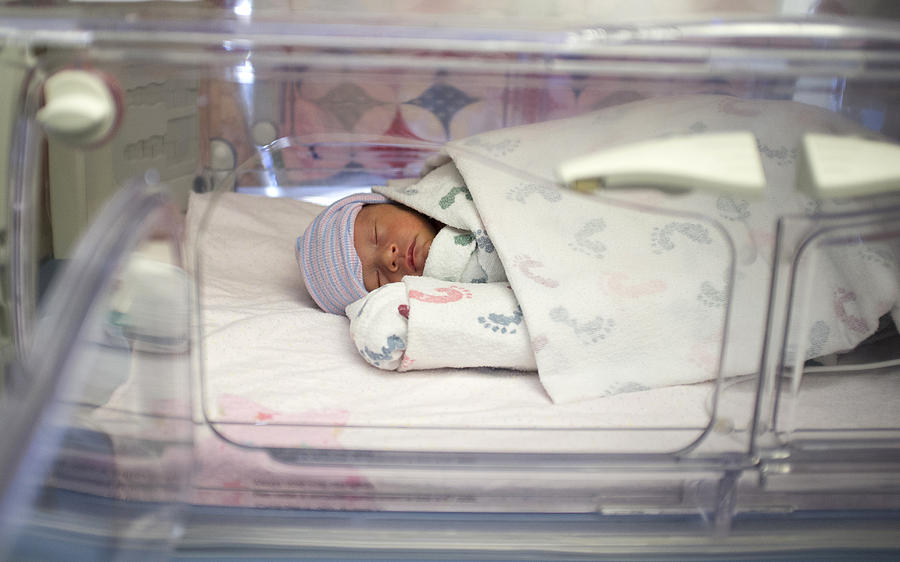 Premature biracial baby in hospital incubator Photograph by Haha21