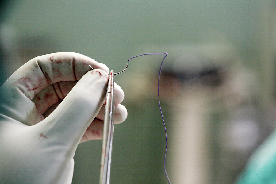 Preparing A Suture For Stitching Photograph by Mauro Fermariello/science Photo Library