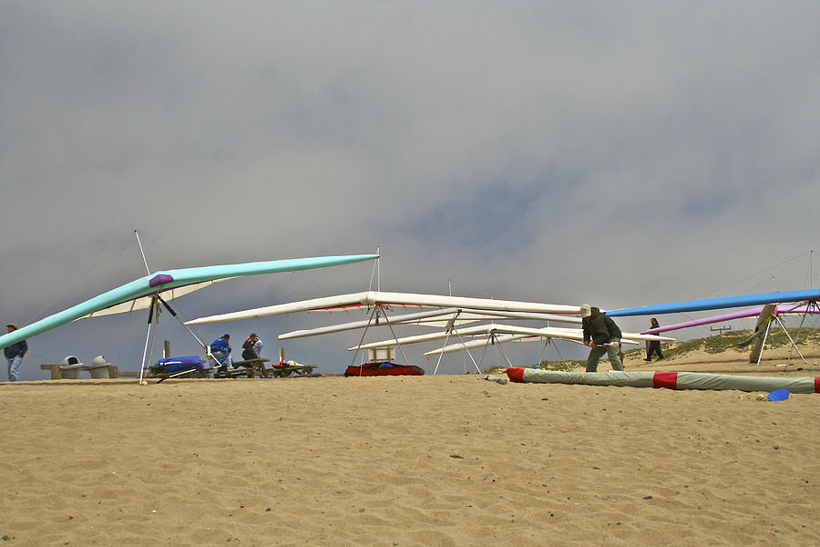 Preparing for Flight at Marina State Beach Photograph by SC Heffner