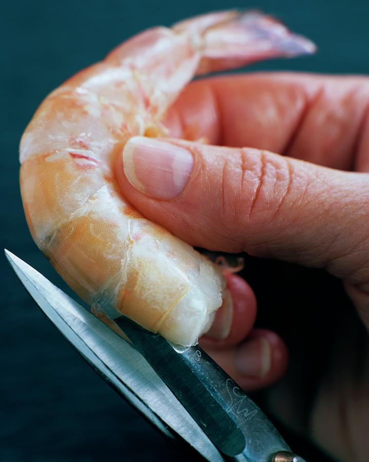 Preparing Shrimp Photograph by Romulo Yanes